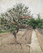 Gustave Caillebotte Apple Tree in Bloom oil painting